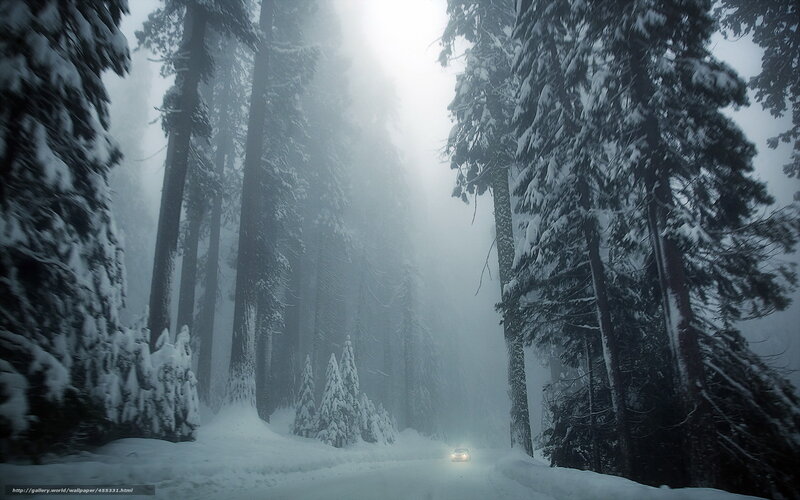 Car on Snowy Road — White, Misty