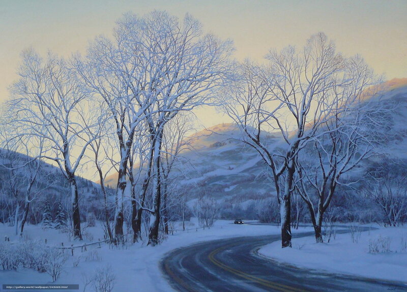 Car on Snowy Road — White, Serene, Winter