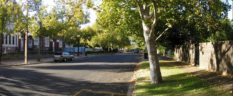Car on Tree-lined Street