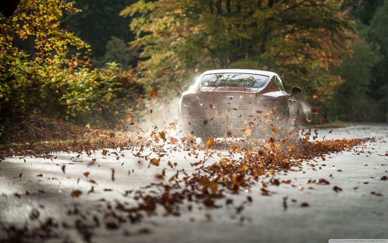 Car on Wet Road