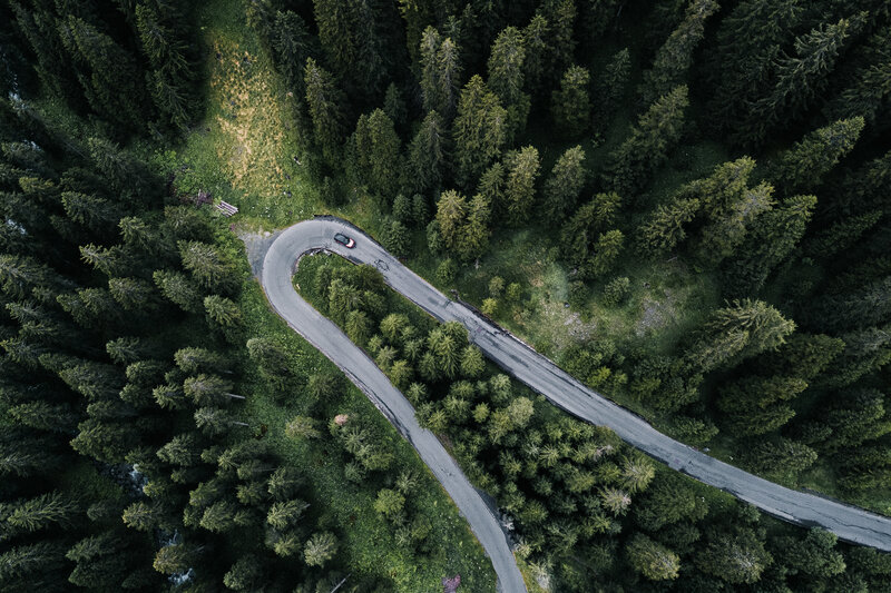 Car on Winding Road — Green, Serene, Afternoon, Photograph, Forest