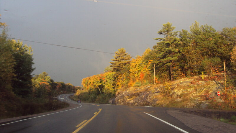 Car on Winding Road — Green, Serene, Autumn