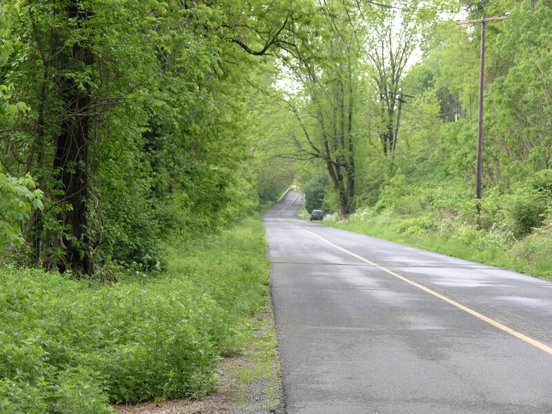 Car on Winding Road — Green, Serene