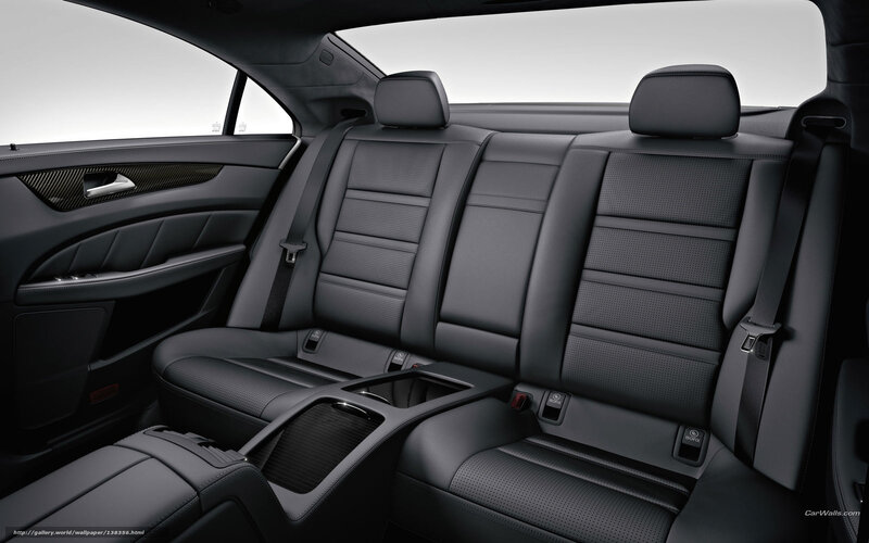 Car Rear Seats — Black, Neutral, Photograph, Seat Belts
