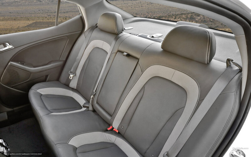 Car Rear Seats — Gray, Neutral