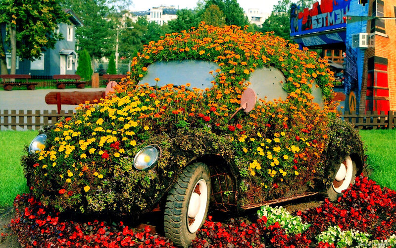 Car-shaped Flower Arrangement