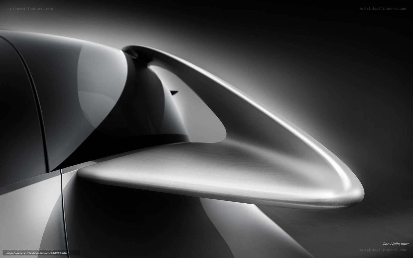 car side mirror detail