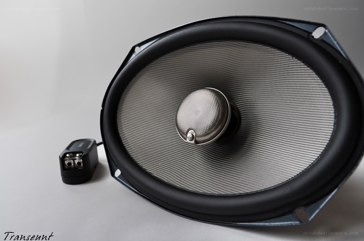 car speaker with crossover
