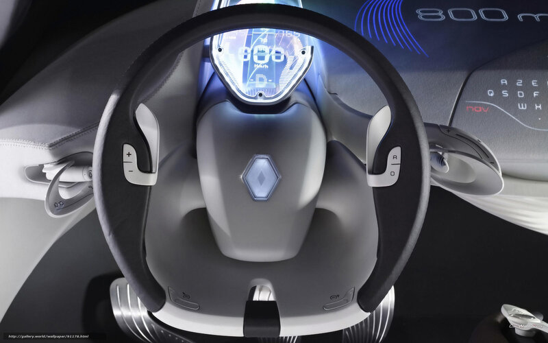 Car Steering Wheel — Gray