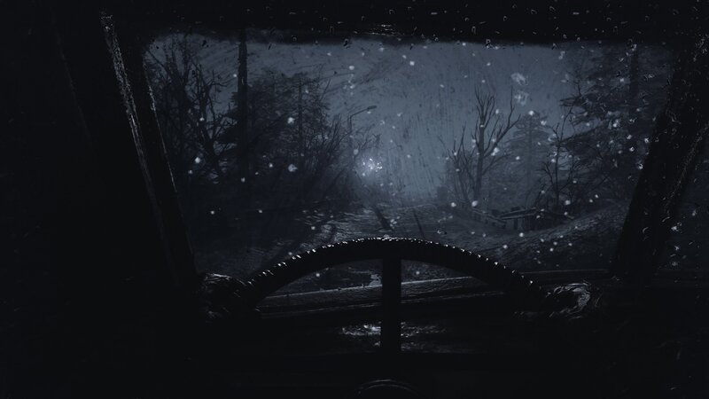 Car Steering Wheel in Rain