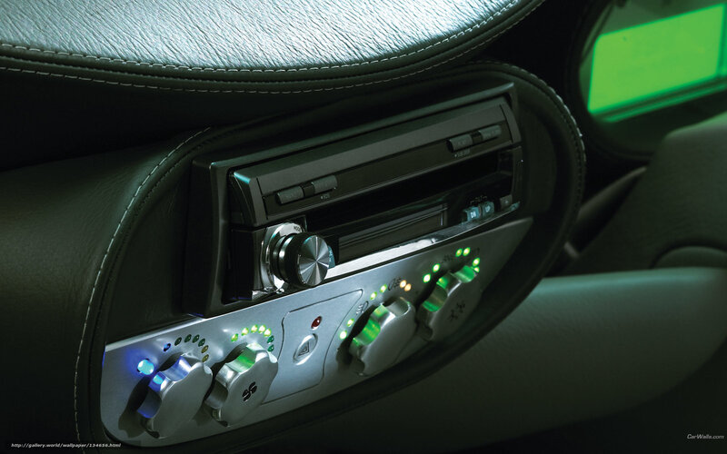 Car Stereo System