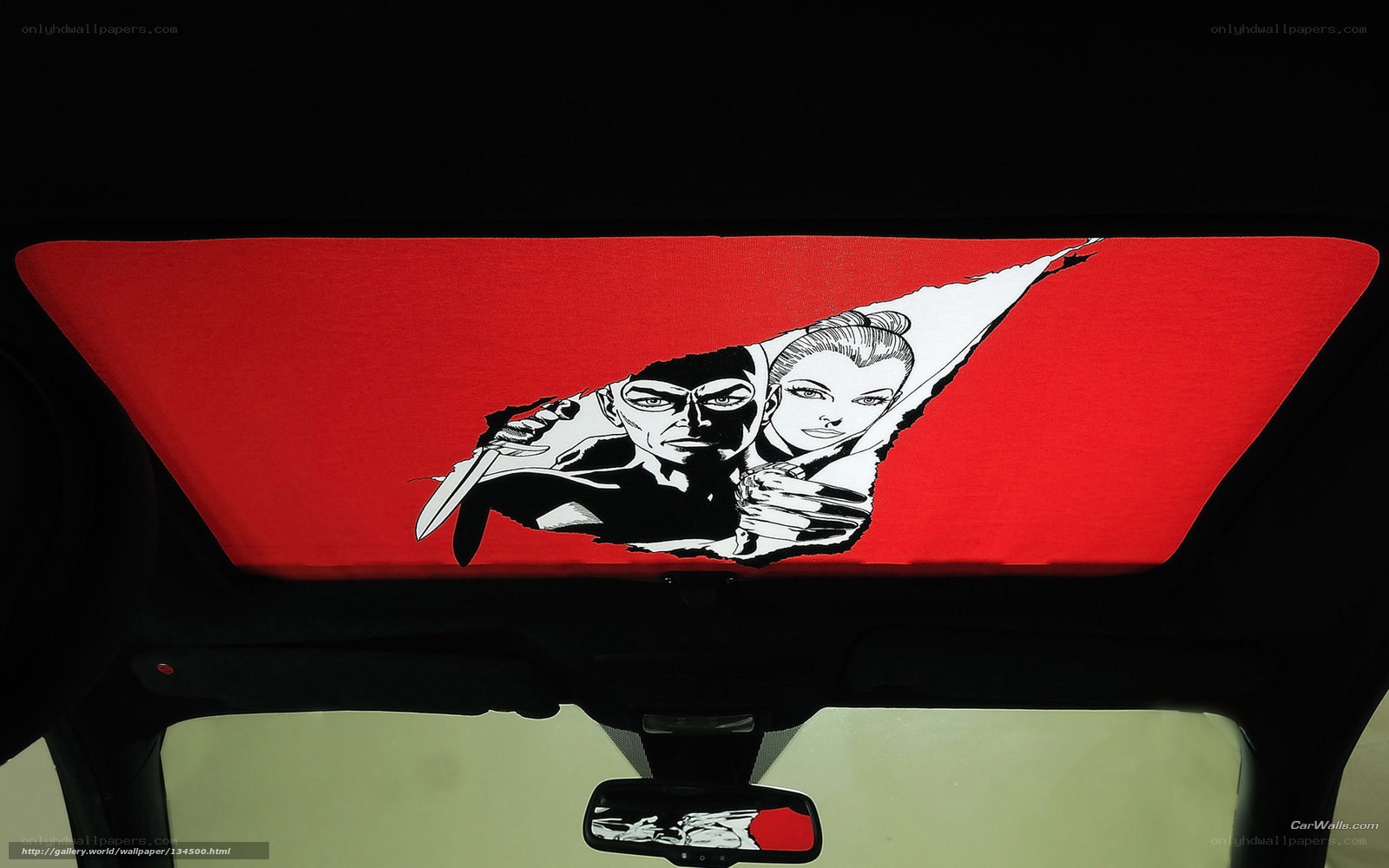 car sunshade with comic art