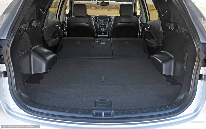 Car Trunk Interior — Black, Neutral, Photograph, Back Seats