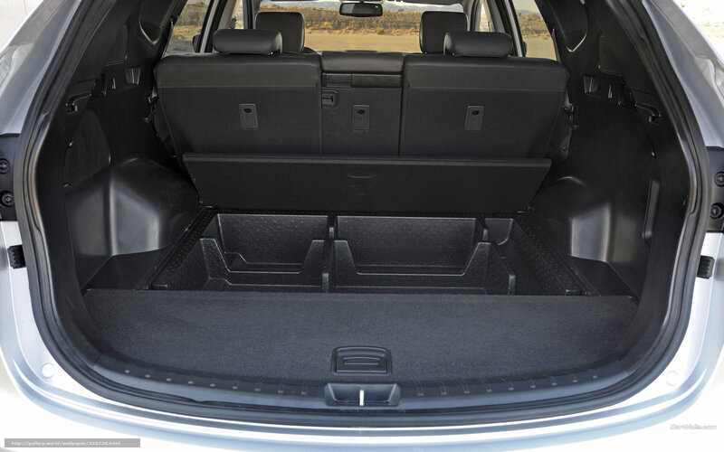 Car Trunk Interior — Black, Neutral, Photograph