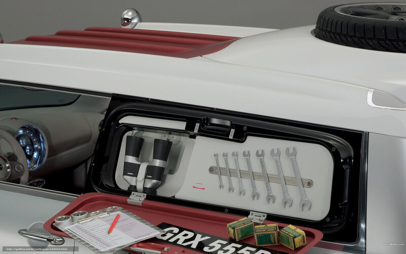 car trunk storage system