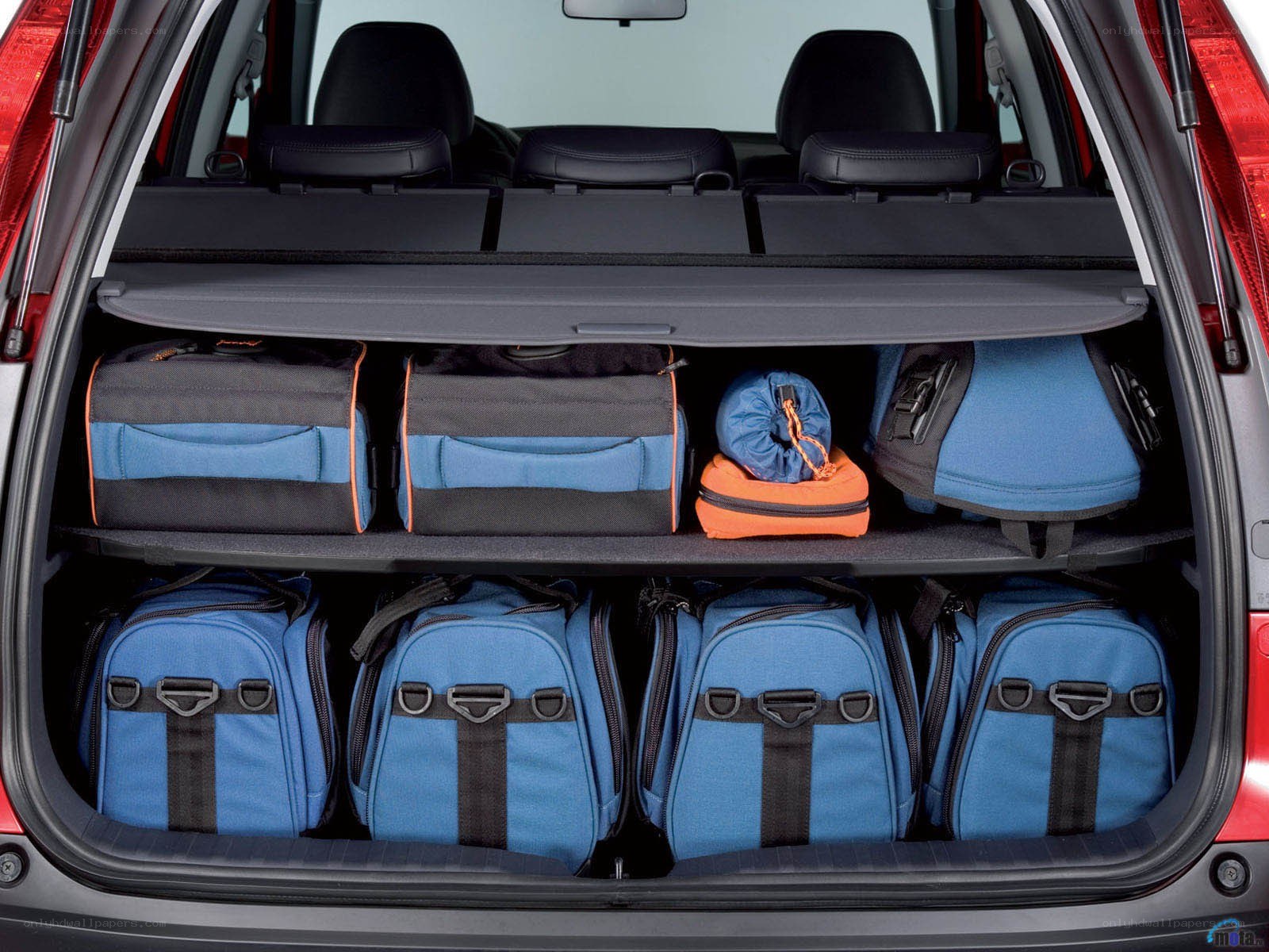 Car trunk with luggage