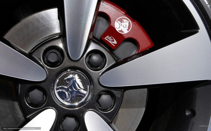 Car Wheel and Brake Caliper