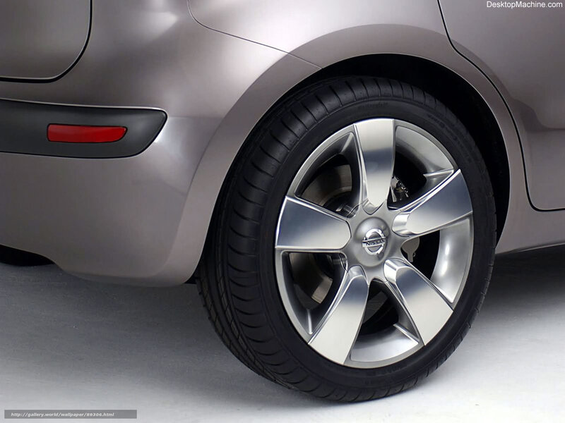 Car Wheel and Fender — Gray