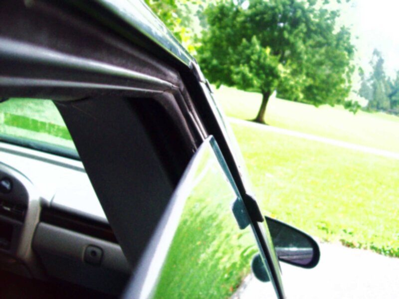 car window view of park
