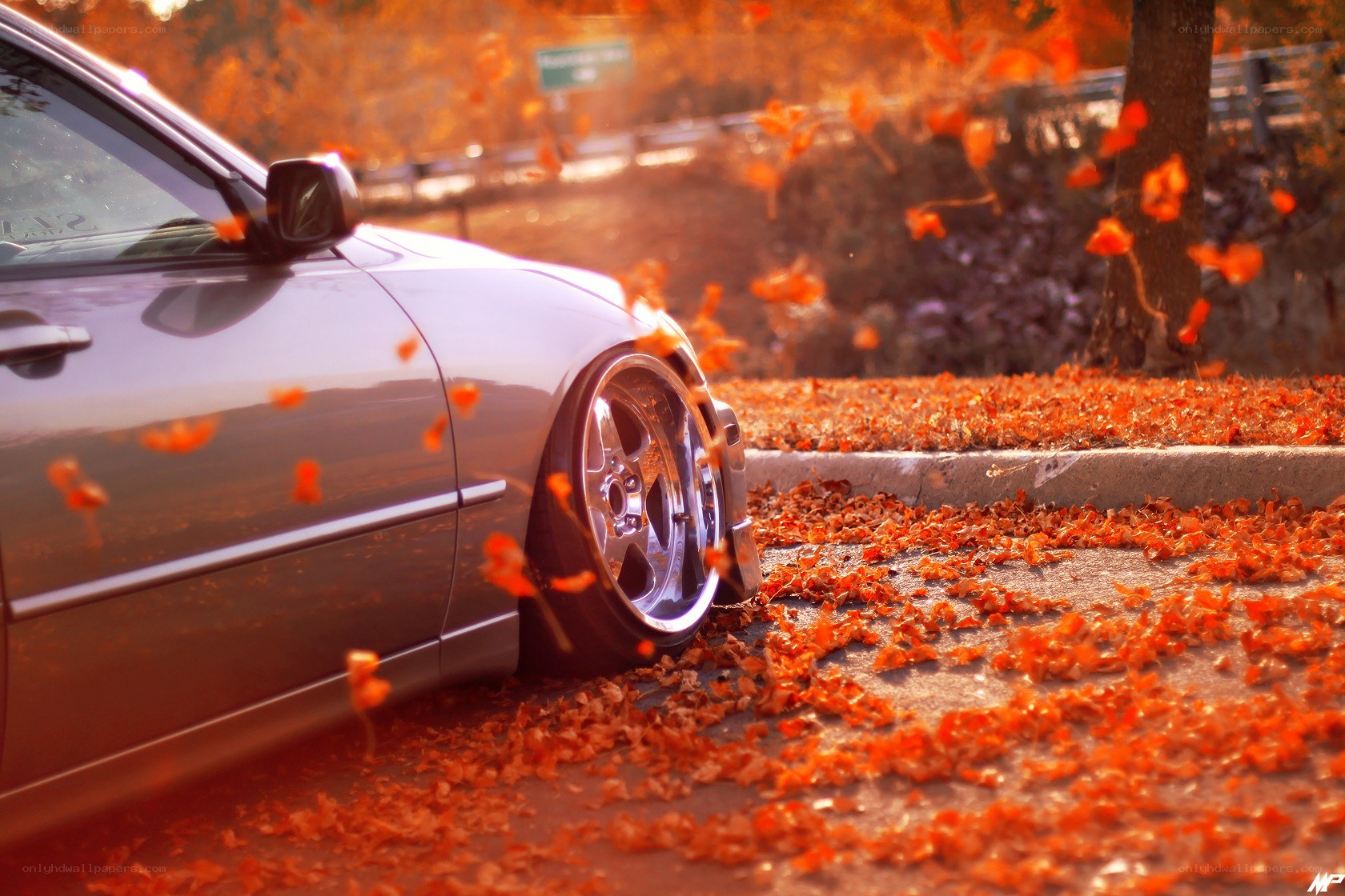 Car with autumn leaves
