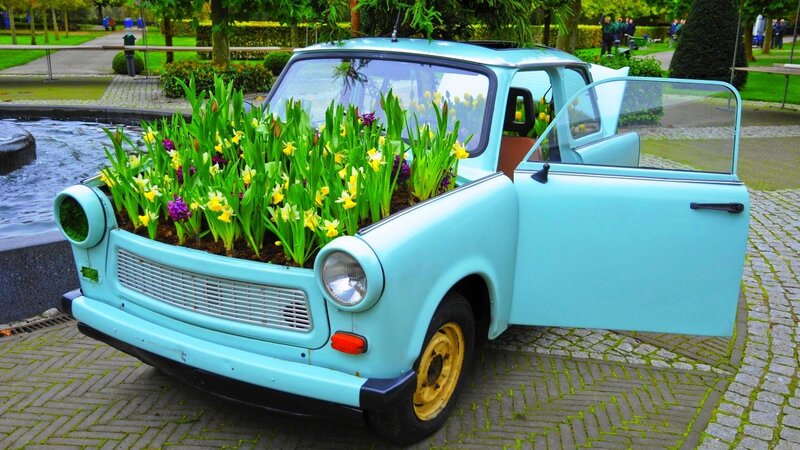 Car with Flowers in Trunk