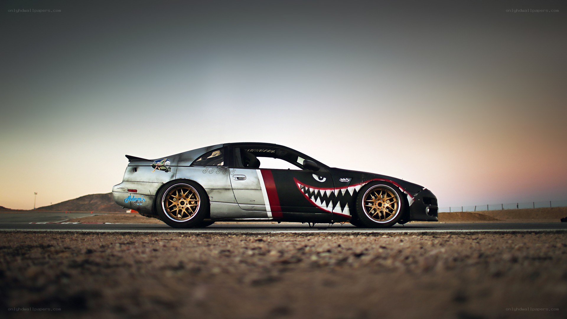 car with shark design on track