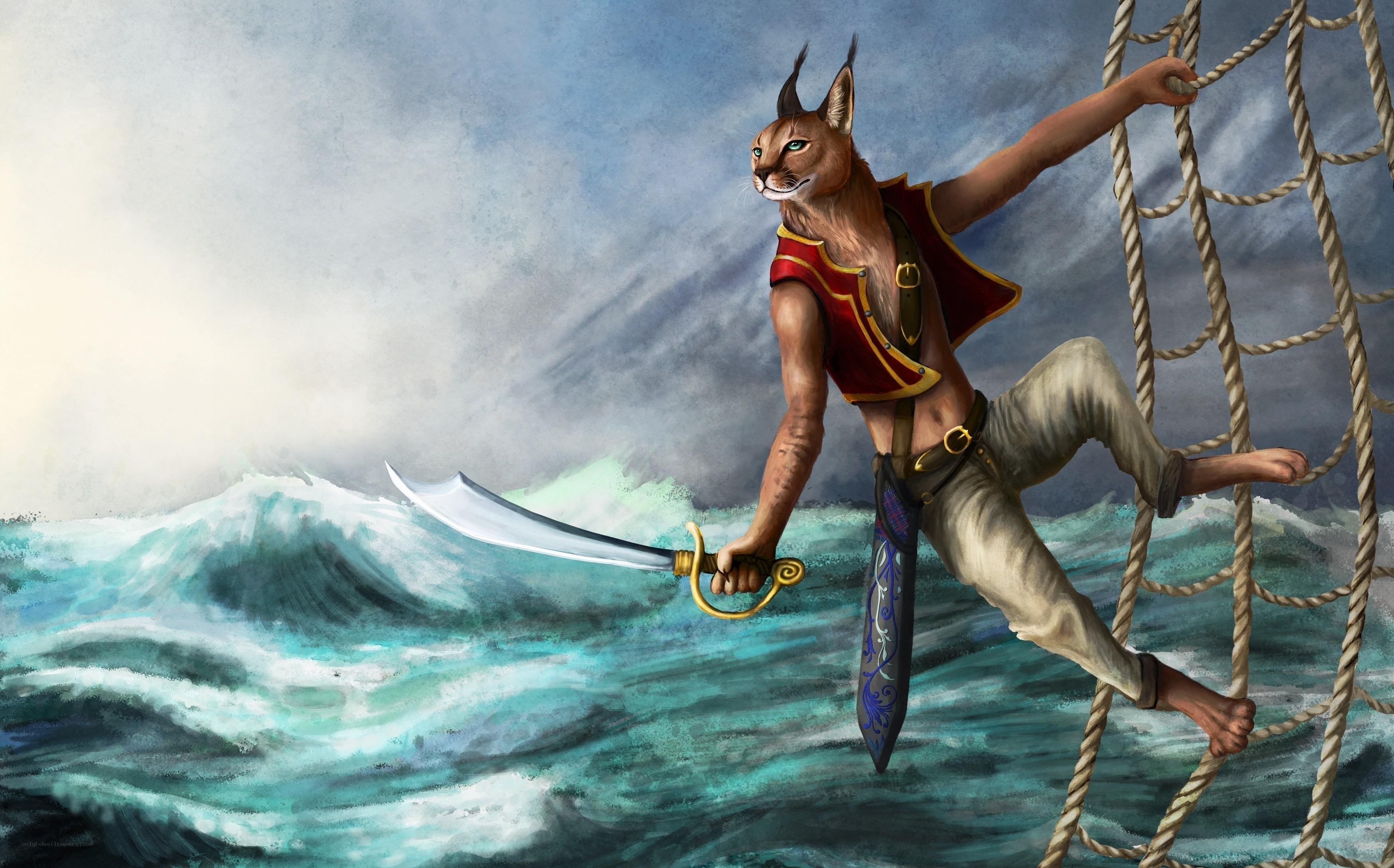 caracal pirate on ship