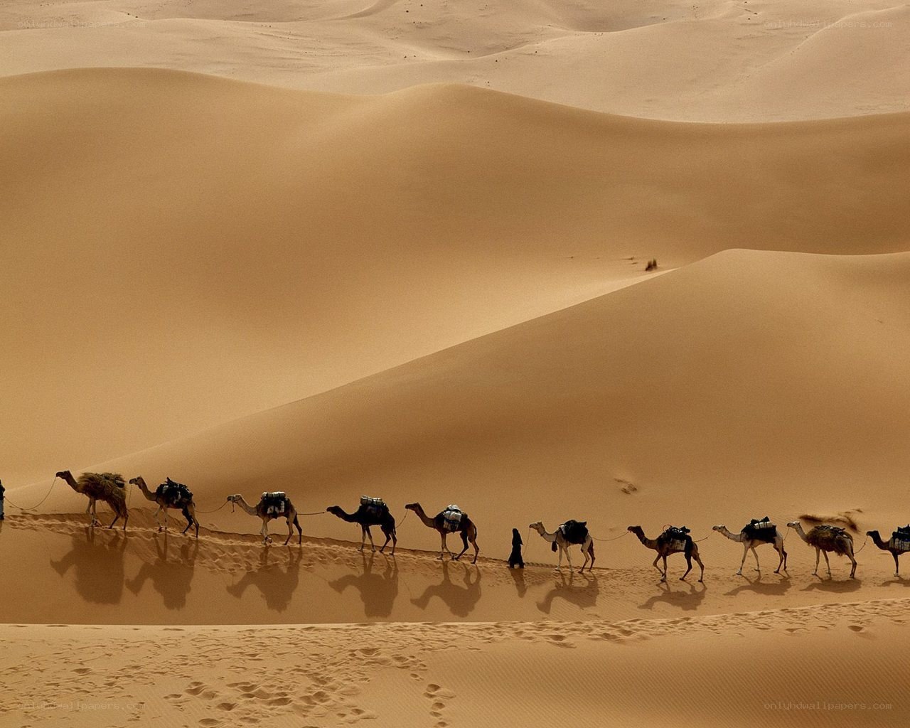 Caravan crossing desert dunes