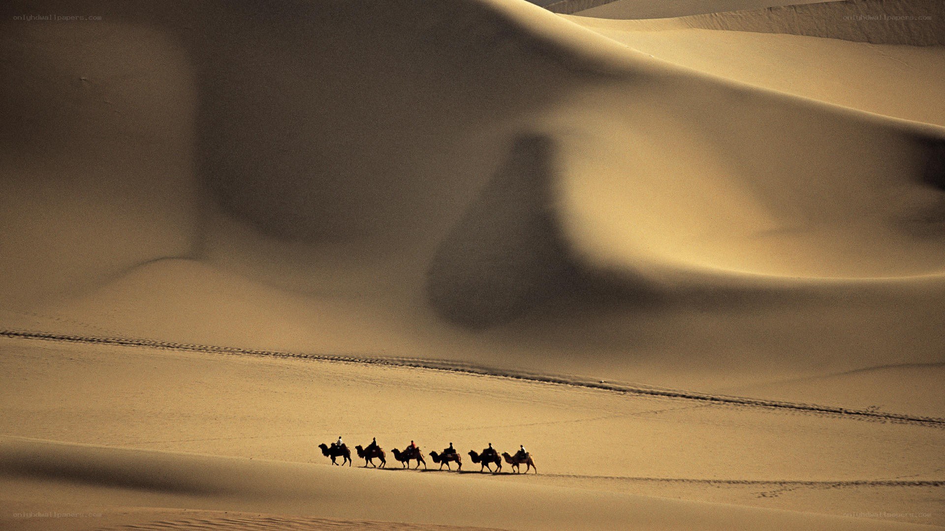 Caravan crossing desert dunes