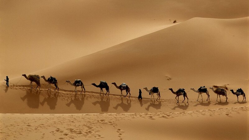Caravan crossing desert dunes
