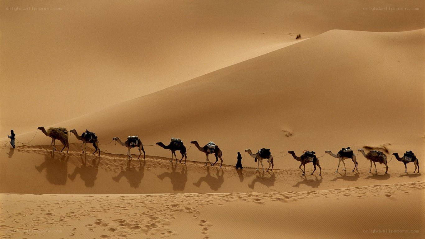 Caravan crossing desert dunes