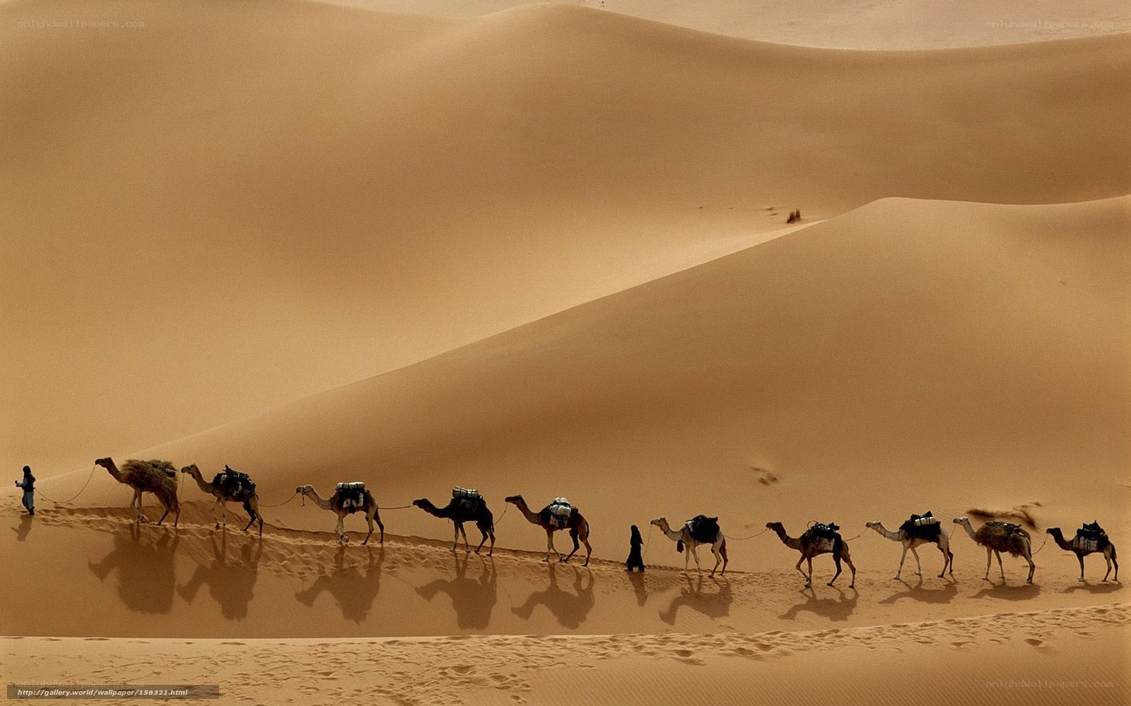 Caravan crossing desert dunes