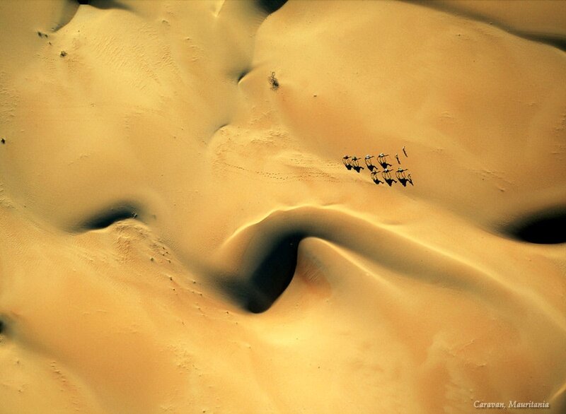 Caravan in the desert