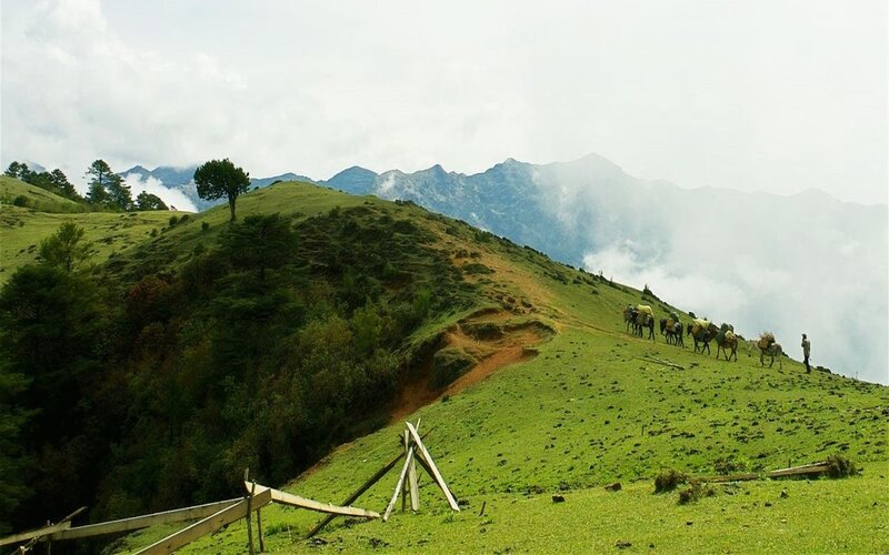 Caravan on Mountain Path