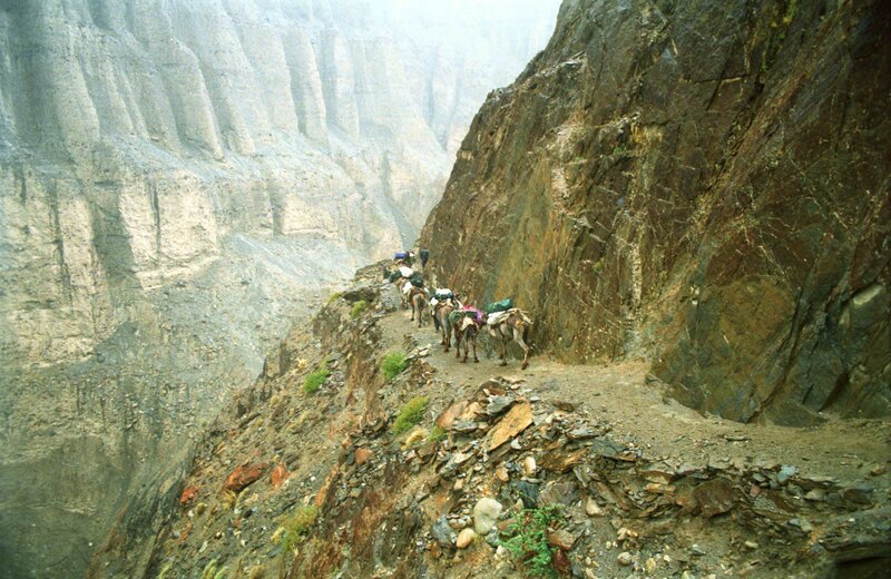Caravan on mountain trail
