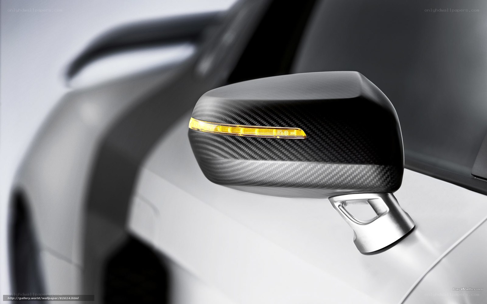 Carbon fiber car mirror