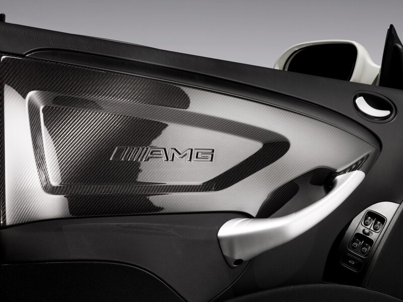 Carbon Fiber Door Panel