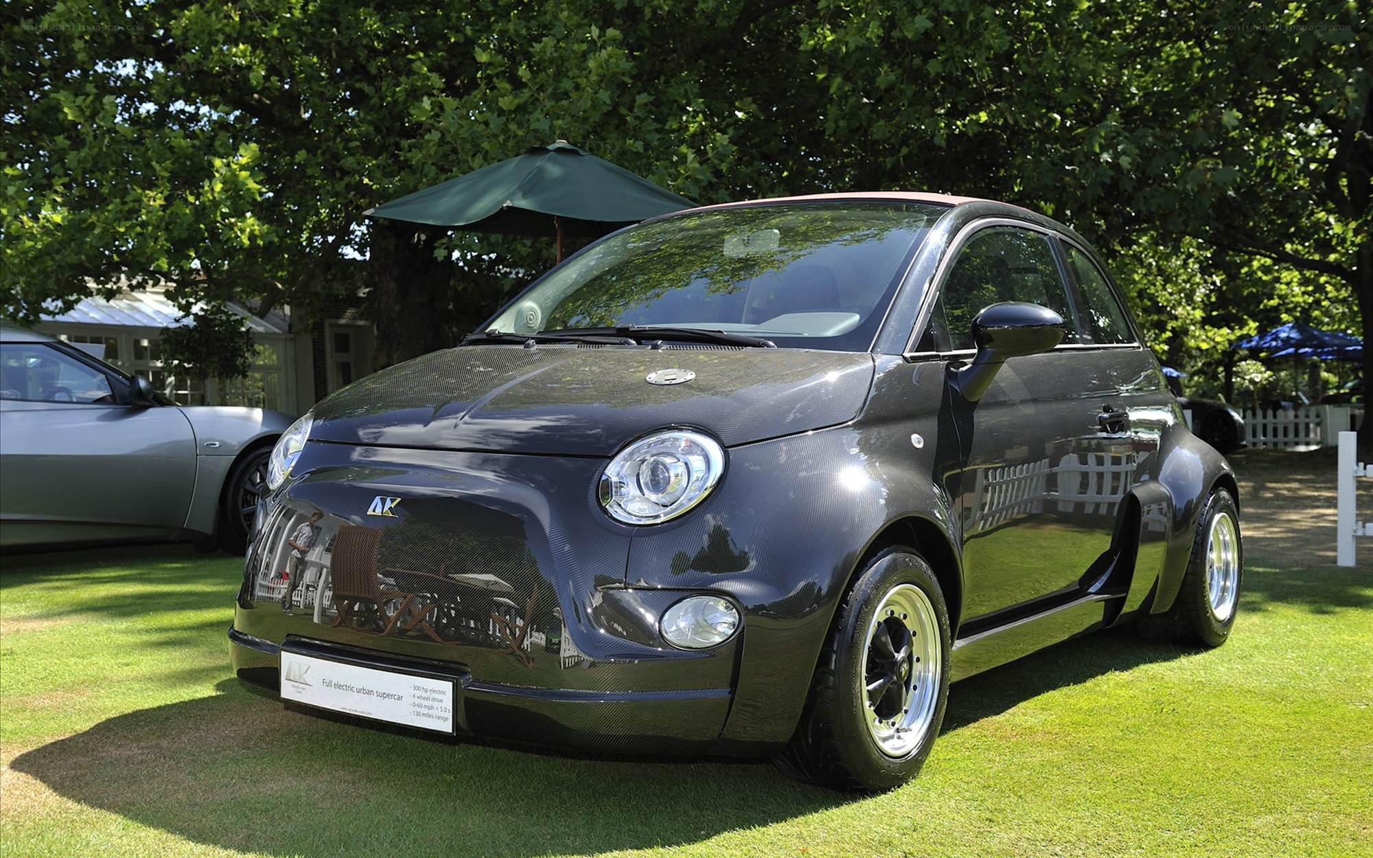 Carbon fiber electric car