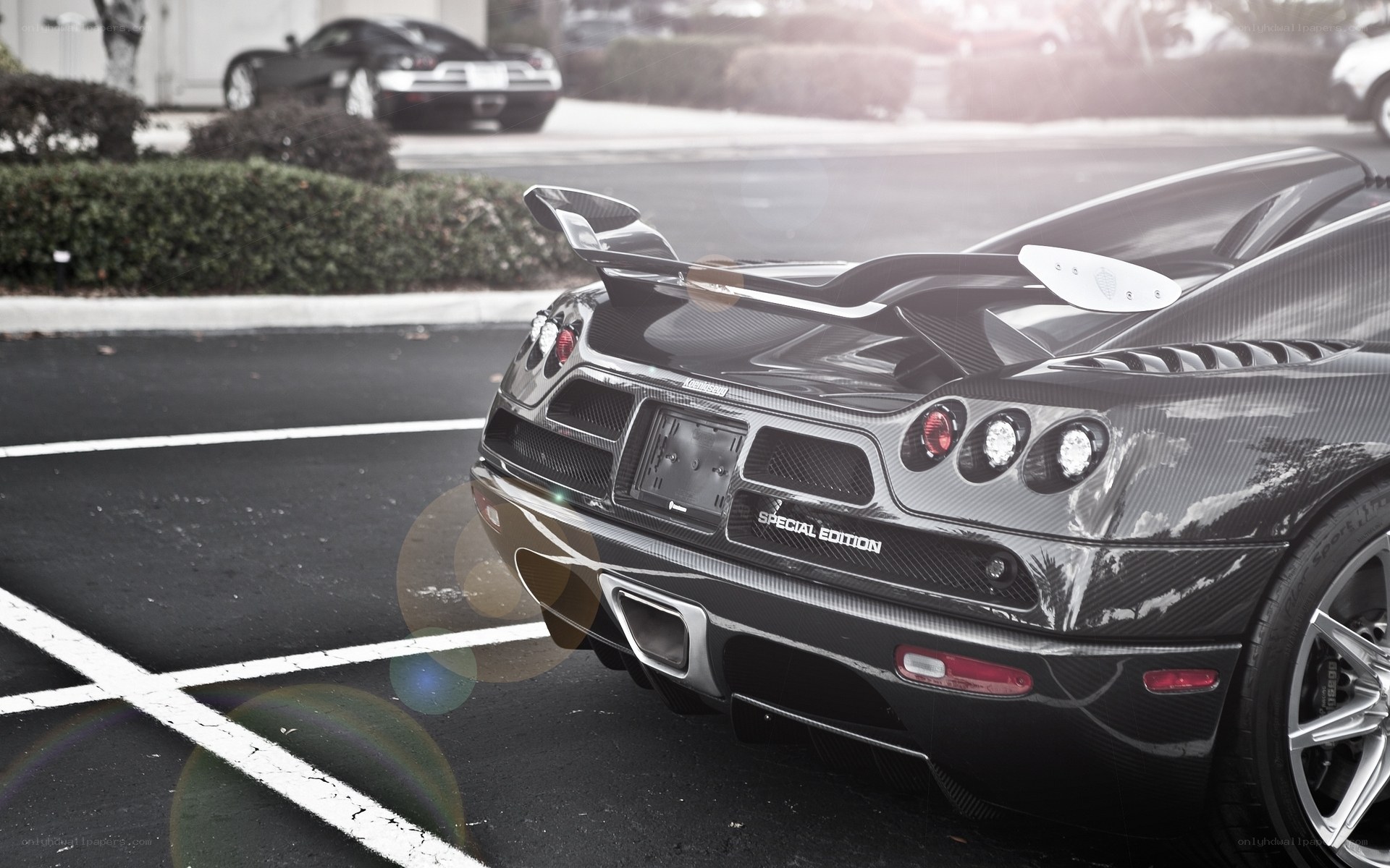 Carbon fiber sports car rear view