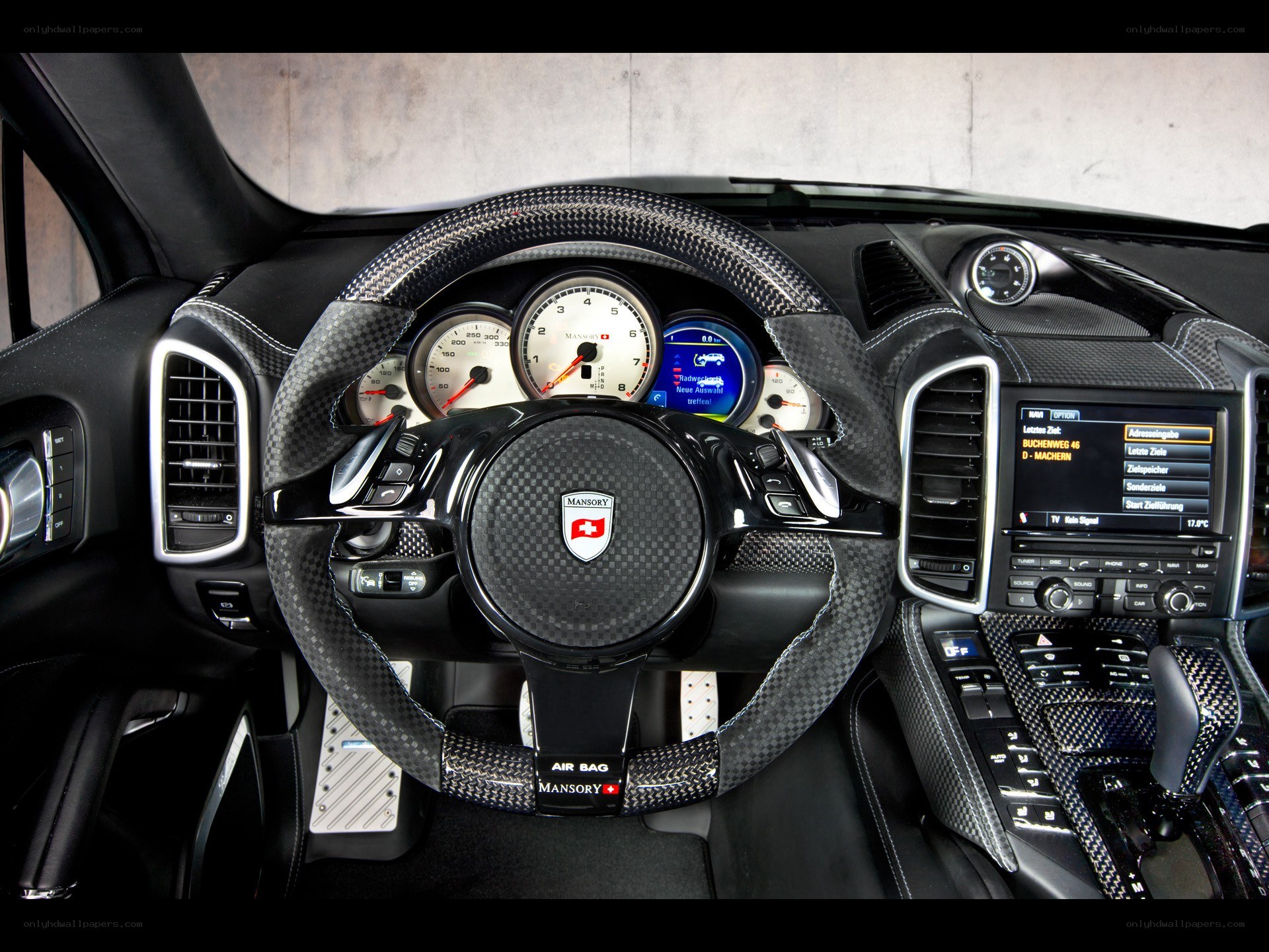 carbon fiber steering wheel interior
