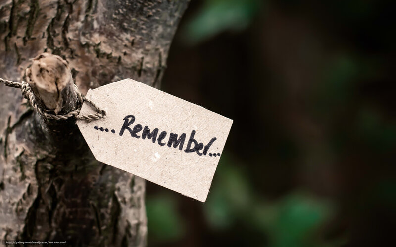Card Tag on Tree