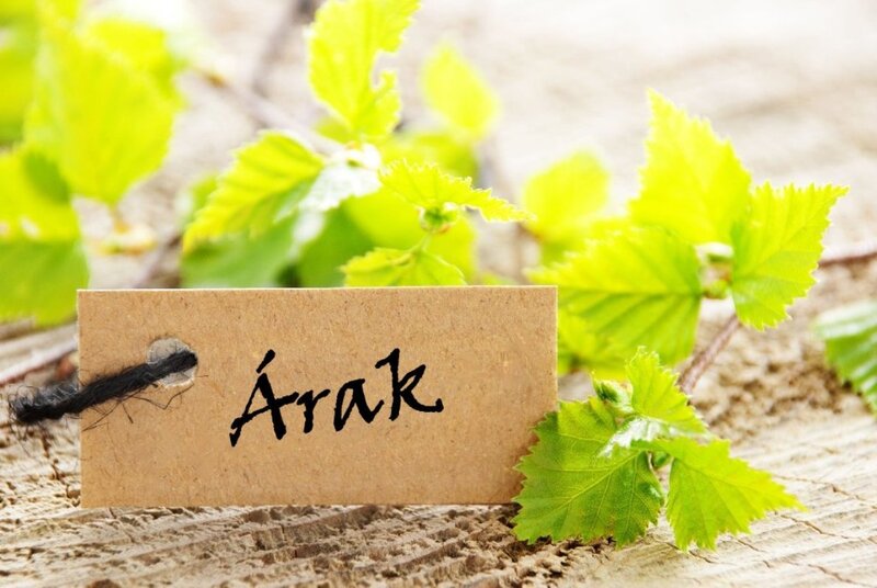 Card with Leafy Branch