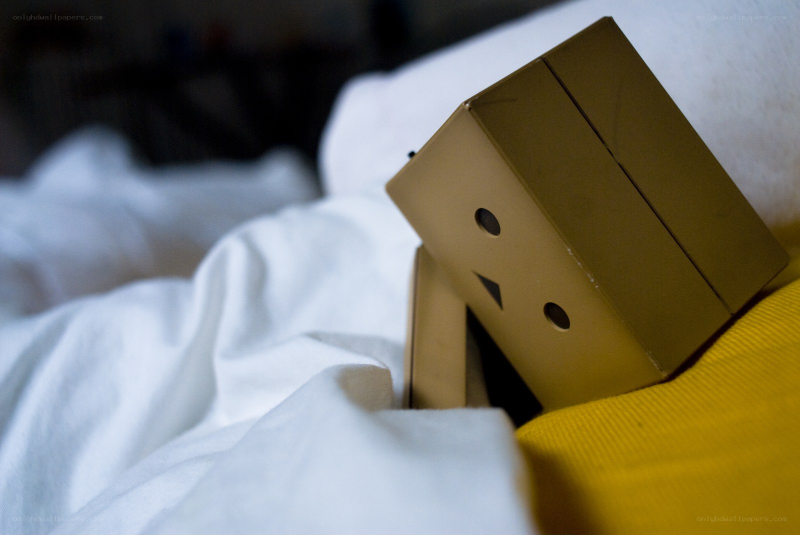 cardboard box character on bed