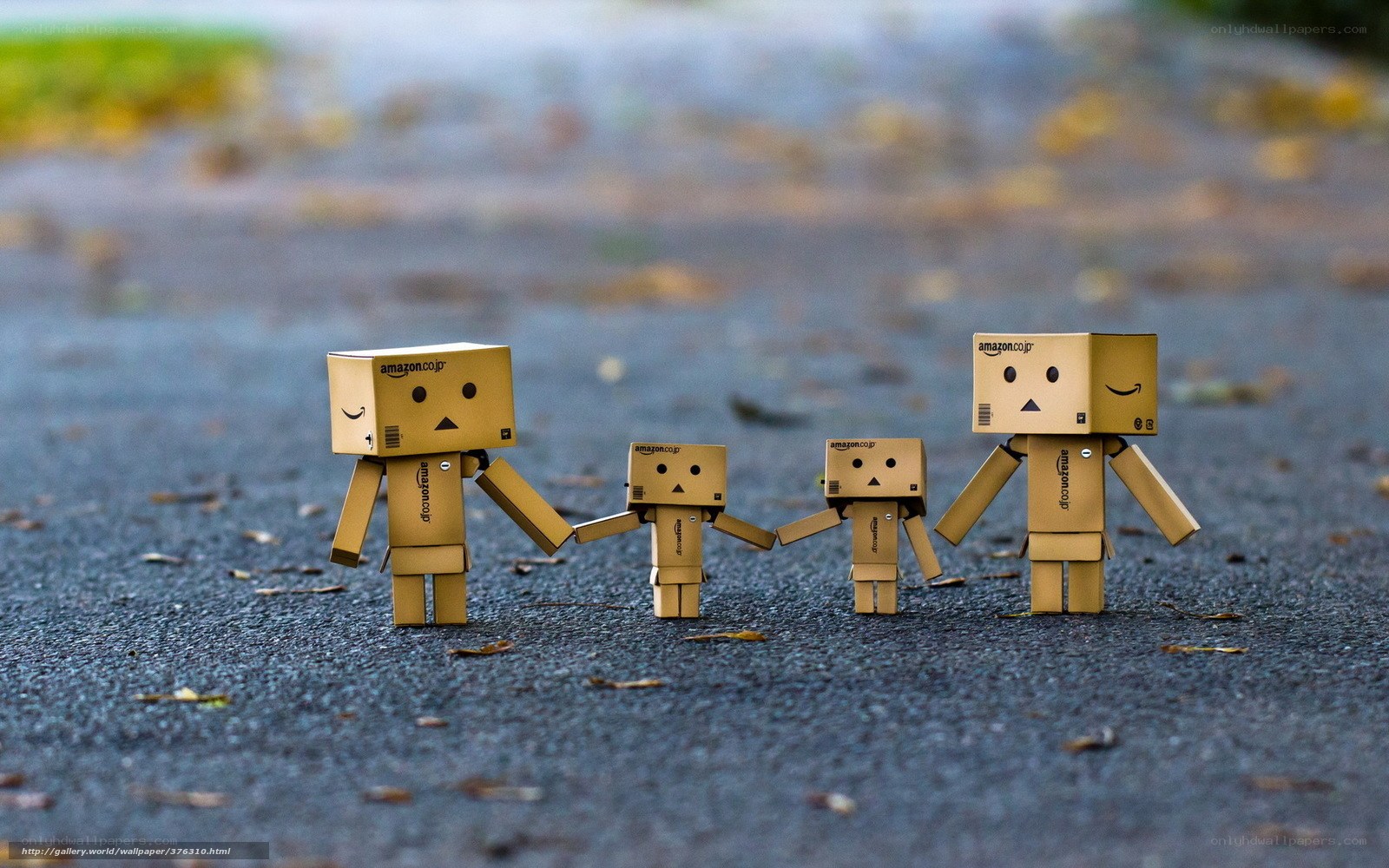 Cardboard box family