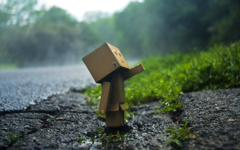 Cardboard Box Figure — Brown, Melancholic, Morning, Photograph, Rain