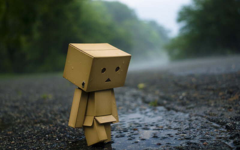 Cardboard Box Figure — Brown, Melancholic, Photograph, Rain, Road, Trees