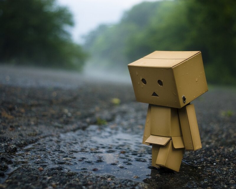 Cardboard Box Figure — Brown, Melancholic, Photograph, Rain