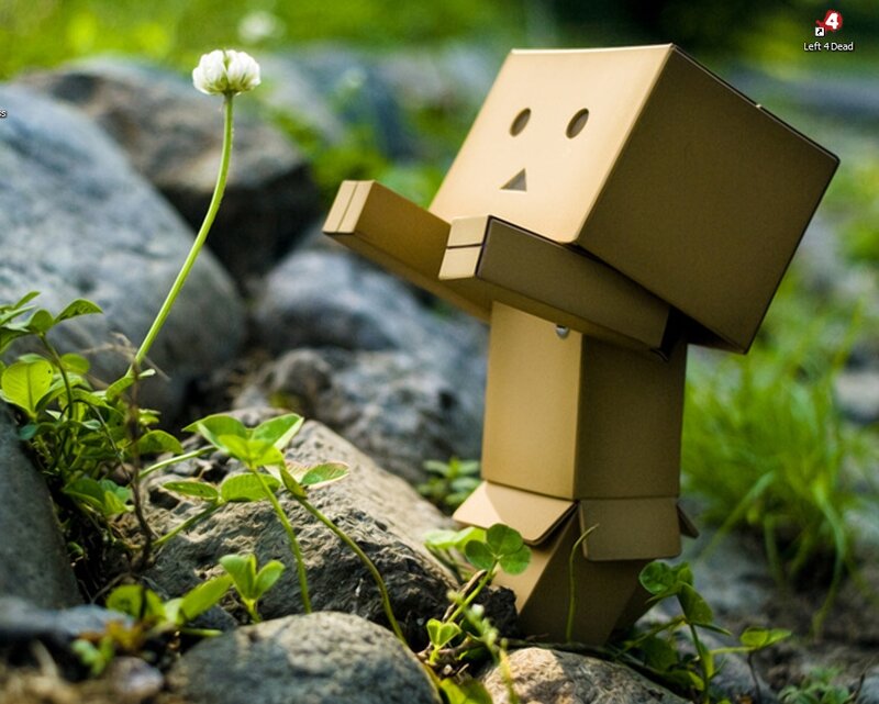 Cardboard Box Figure — Brown, Serene, Afternoon, Photograph, Flower