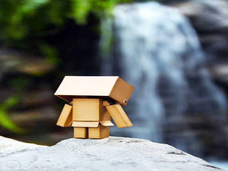 Cardboard Box Figure — Brown, Serene, Photograph