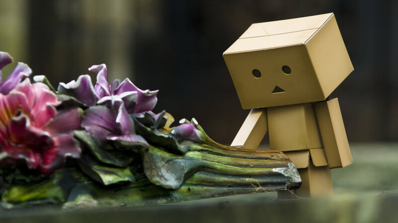 Cardboard Box Figure — Brown, Somber, Photograph, Flowers, Statue, Purple